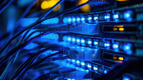 服務攝影圖片免費下載 | 精品服務攝影圖素材大全