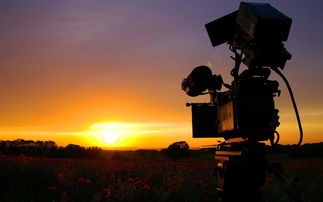 獨家秘訣 商業廣告如何拍才能更有趣？免費分享實用技巧